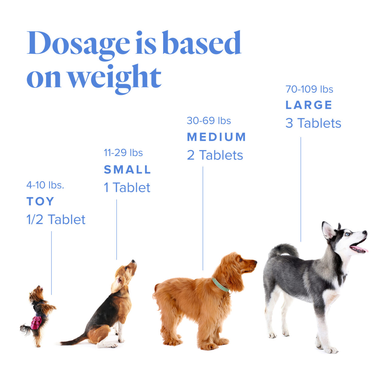 Petandim® for Dogs | LifeVantage United States (en)