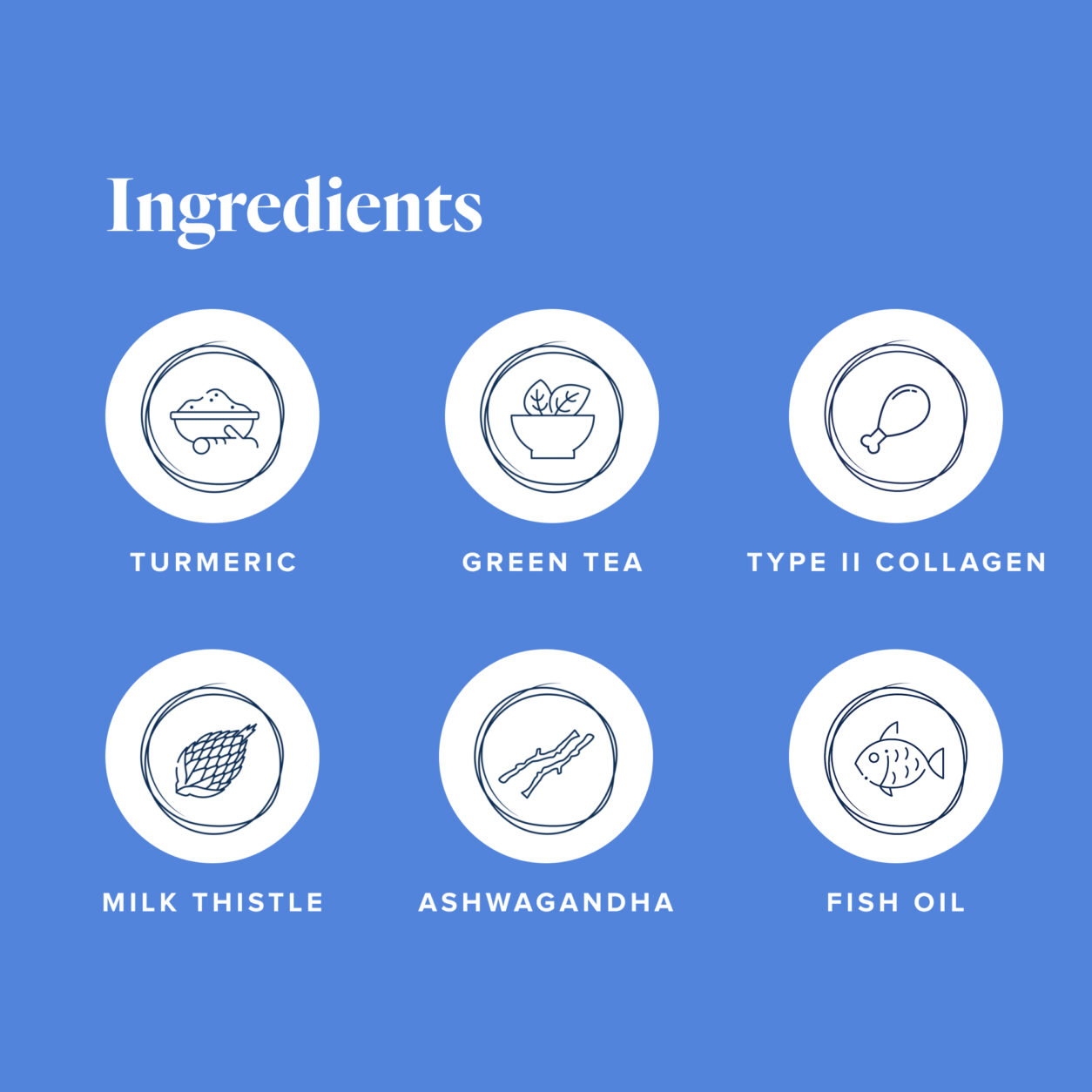 Petandim® for Dogs | LifeVantage United States (en)