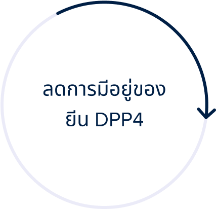 Decrease in DPP4 Gene Expression