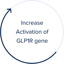 Activation of GLP1R Gene