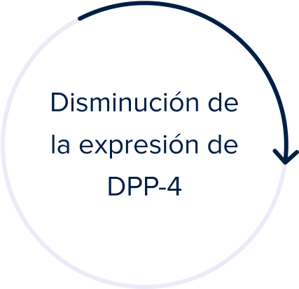 Decrease in DPP4 Gene Expression