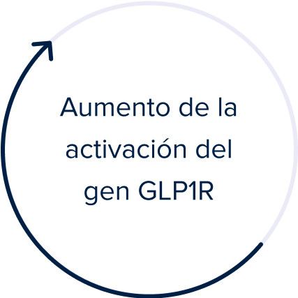 Activation of GLP1R Gene