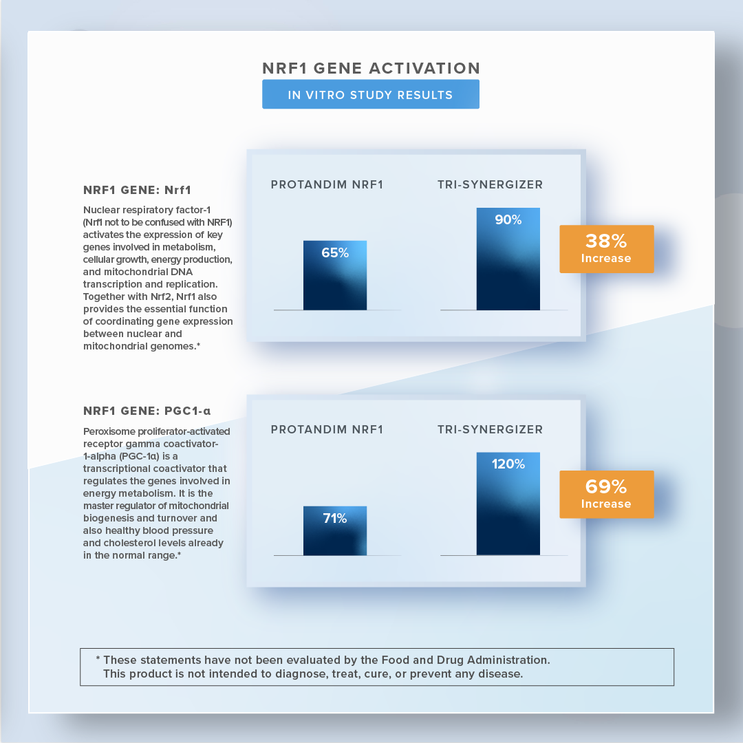 Graph showing results of NRF1 gene activation study