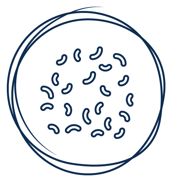 Probiotic Strains Icon