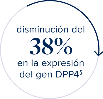 38% decrease in DPP4 gene expression